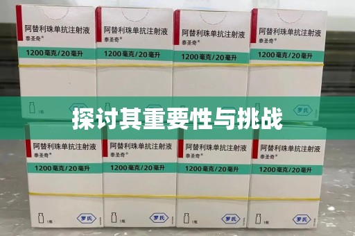 阜阳探讨其重要性与挑战