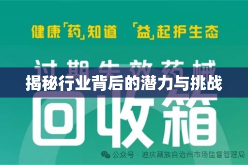 阜阳揭秘行业背后的潜力与挑战
