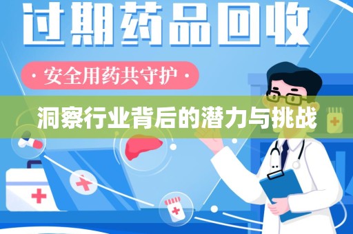 阜阳洞察行业背后的潜力与挑战