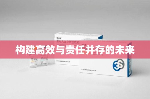 阜阳构建高效与责任并存的未来