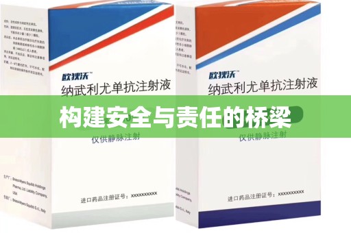 阜阳构建安全与责任的桥梁