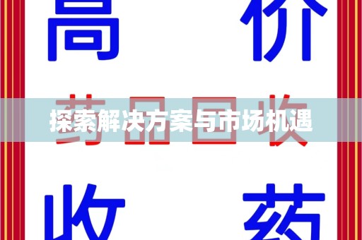 阜阳探索解决方案与市场机遇