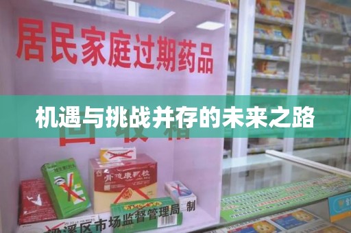 阜阳机遇与挑战并存的未来之路
