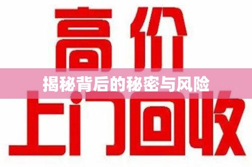 阜阳揭秘背后的秘密与风险